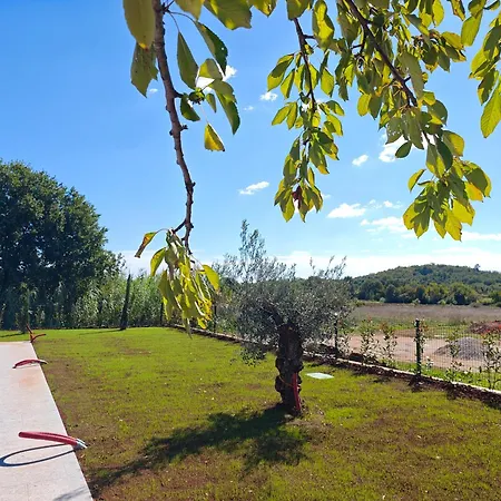 Majuli בית נופש Dračevac