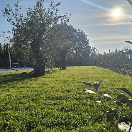 Majuli בית נופש